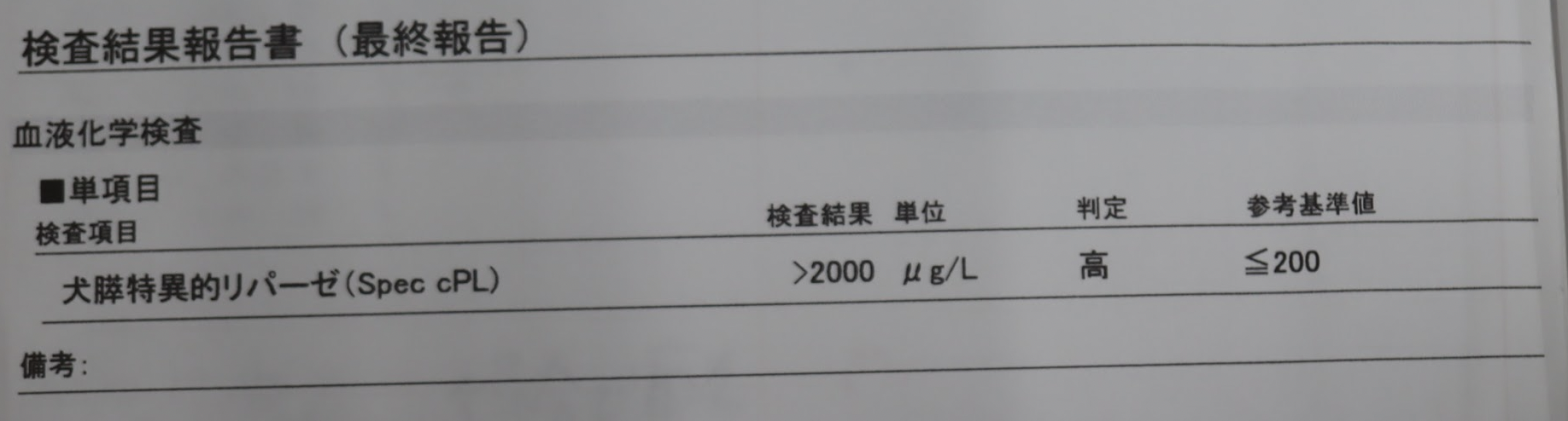 脾臓摘出の犬の手術