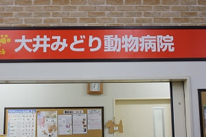 大井みどり動物病院の入口の看板